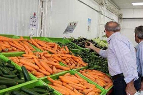 بازار هویج ملتهب شد