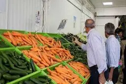 بازار هویج ملتهب شد