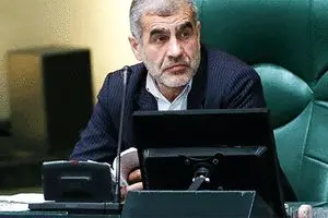 نیکزاد: ایرادات شورای نگهبان بررسی می‌شود