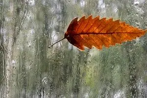 امروز و فردا در کدام استان ها بارش داریم؟