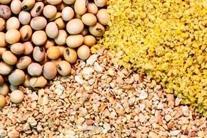 عمده نشتی نهاده‌‍‌های دامی از کجا است؟