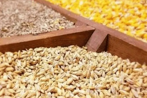 یارانه دولت به کشاورزان خارجی!