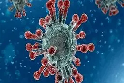 اینفوگرافیک: کدام محصولات مانع انتشار کرونا می‌شود؟