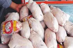 هر کیلو گوشت مرغ در میادین تره بار چند؟