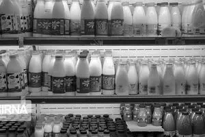 افزایش قیمت لبنیات متاثر از تحریم‌ها و نرخ ارز است