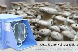 چه راه هایی برای افزایش کیفیت محصولات گلخانه ای وجود دارد ؟