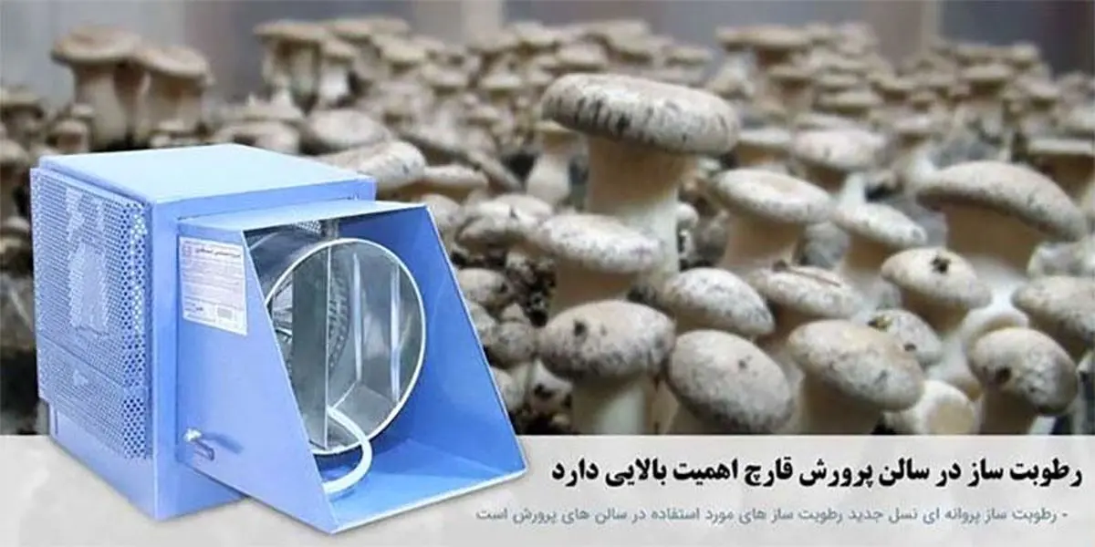 چه راه هایی برای افزایش کیفیت محصولات گلخانه ای وجود دارد ؟