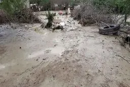 سیل تاکنون هفت کشته برجای گذاشته است