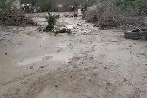 سیل تاکنون هفت کشته برجای گذاشته است