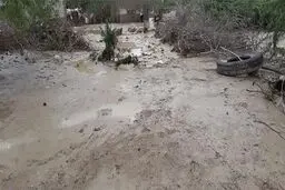 سیل تاکنون هفت کشته برجای گذاشته است