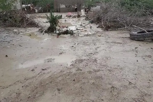 سیل تاکنون هفت کشته برجای گذاشته است