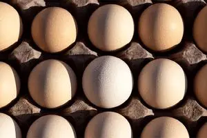 قیمت مصوب هرشانه تخم‌مرغ ۳۰ تا ۳۲ هزار تومان