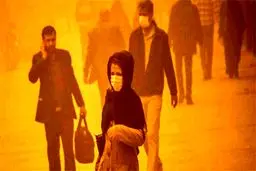 مهمانی مرگبار «مازوت» در ریه تهرانی‌ها