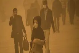 مهمانی مرگبار «مازوت» در ریه تهرانی‌ها