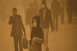 مهمانی مرگبار «مازوت» در ریه تهرانی‌ها