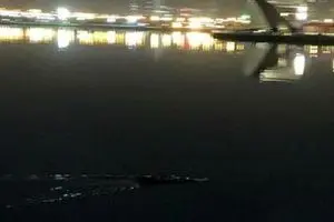 ورود آتش‌نشانی تهران به ماجرای تمساح دریاچه چیتگر