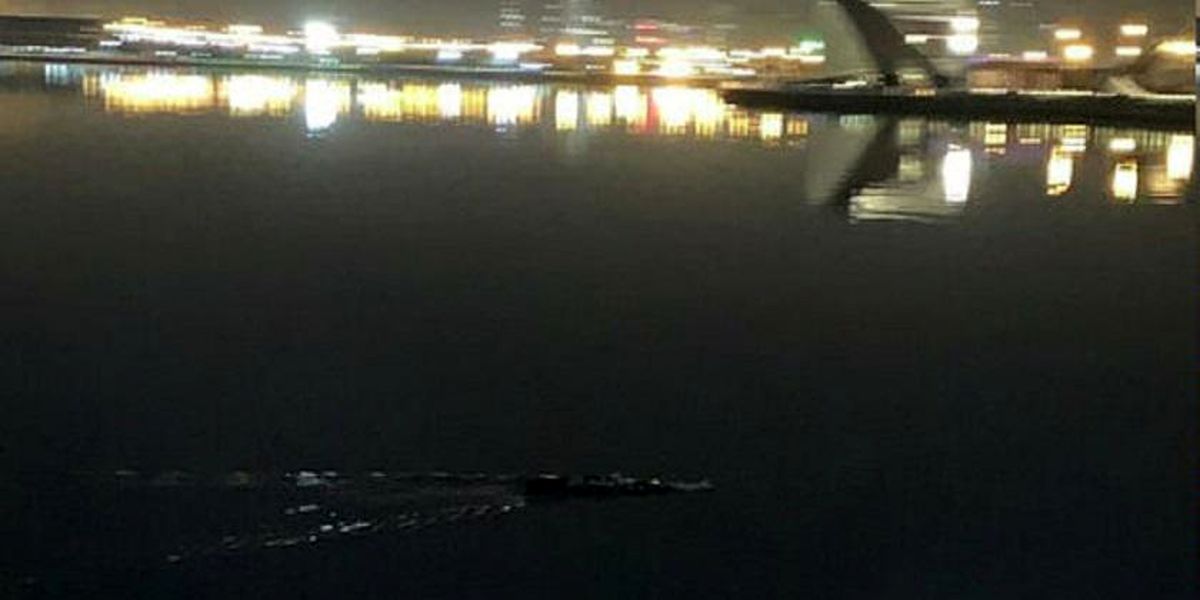 ورود آتش‌نشانی تهران به ماجرای تمساح دریاچه چیتگر