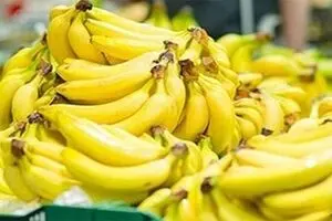 میوه‌ای که هوش کودکان را افزایش می‌دهد