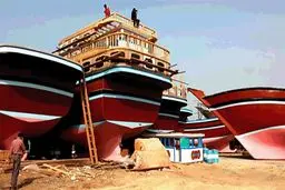 راهنمای قشم‌ گردی