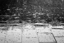 بارش باران در بیشتر استان‌های کشور