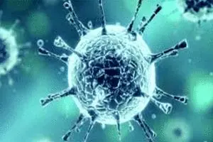 کرونا به قطب جنوب رسید