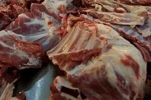 شقه گوسفندی در میادین، کیلویی کمتر از ۱۰۰ هزار تومان