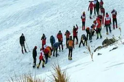 آخرین آمار تلفات در ارتفاعات تهران