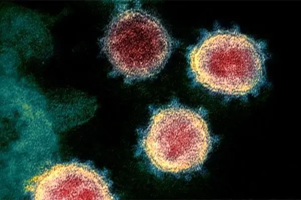 علائم غیر اختصاصی کرونا تا ۹۰ روز باقی می ماند