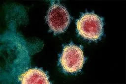 علائم غیر اختصاصی کرونا تا ۹۰ روز باقی می ماند