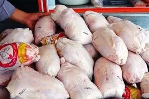 نرخ هر کیلو مرغ ۲۱ هزار تومان شد