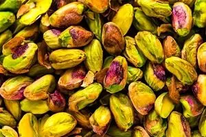 آشنایی با انواع آفات دردسرساز درختان پسته