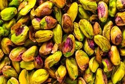 آشنایی با انواع آفات دردسرساز درختان پسته