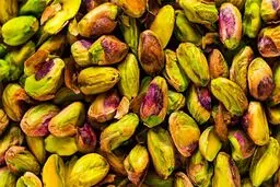 آشنایی با انواع آفات دردسرساز درختان پسته