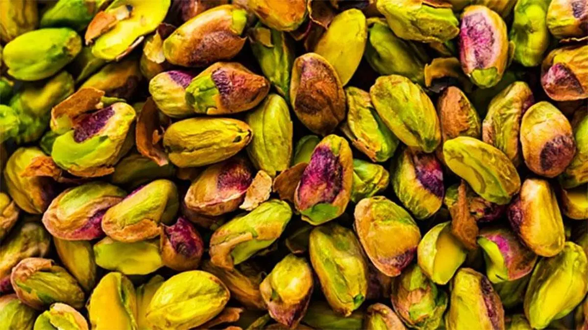 آشنایی با انواع آفات دردسرساز درختان پسته