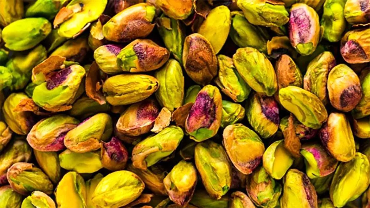 آشنایی با انواع آفات دردسرساز درختان پسته