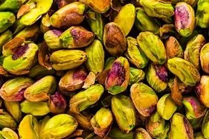 آشنایی با انواع آفات دردسرساز درختان پسته