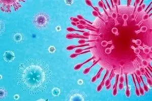 ترمز کرونا در استان‌های شمالی کشیده نشد