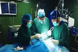 کرونا آمار جراحی‌های زیبایی بینی را کاهش نداد