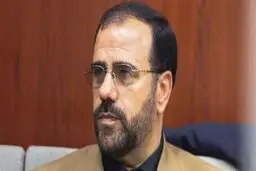 امیری: لایحه منع خشونت علیه زنان ضمانت اجرایی خوبی دارد