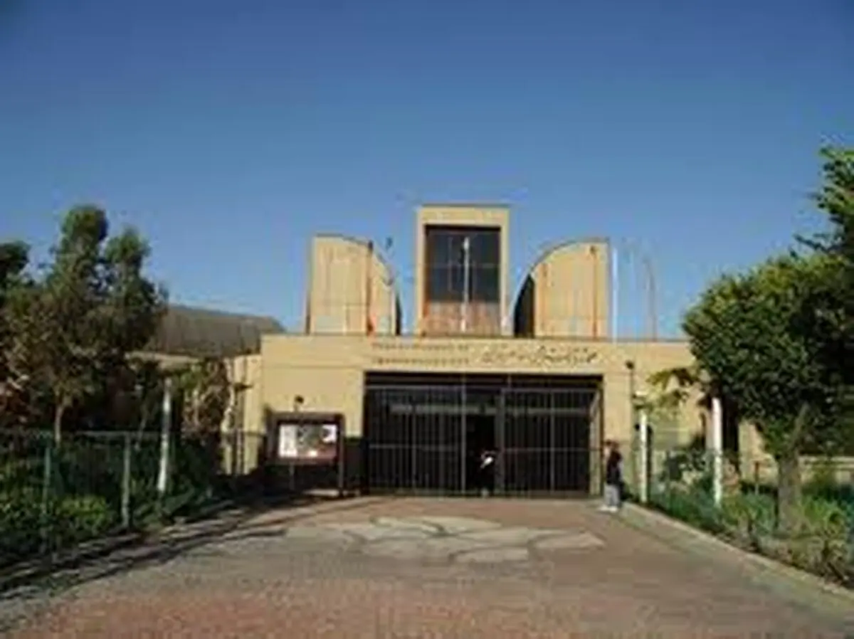 اخبار آرشیوی
