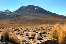 بیابان زدایی از ۵۰۰ هزار هکتار از بیابان‌های کشور