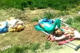 اخبار آرشیوی