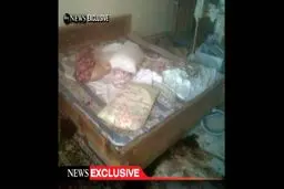 اخبار آرشیوی