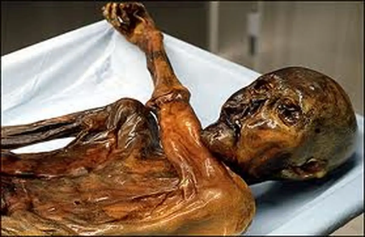 اخبار آرشیوی