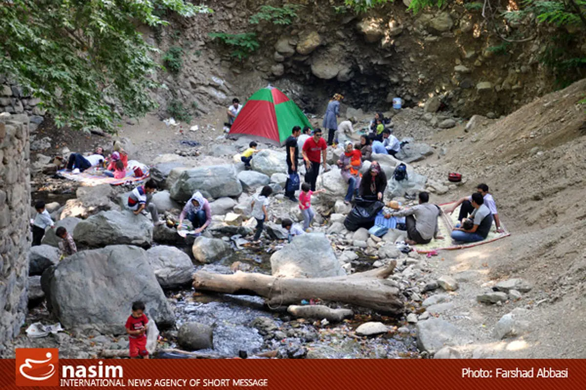 اخبار آرشیوی