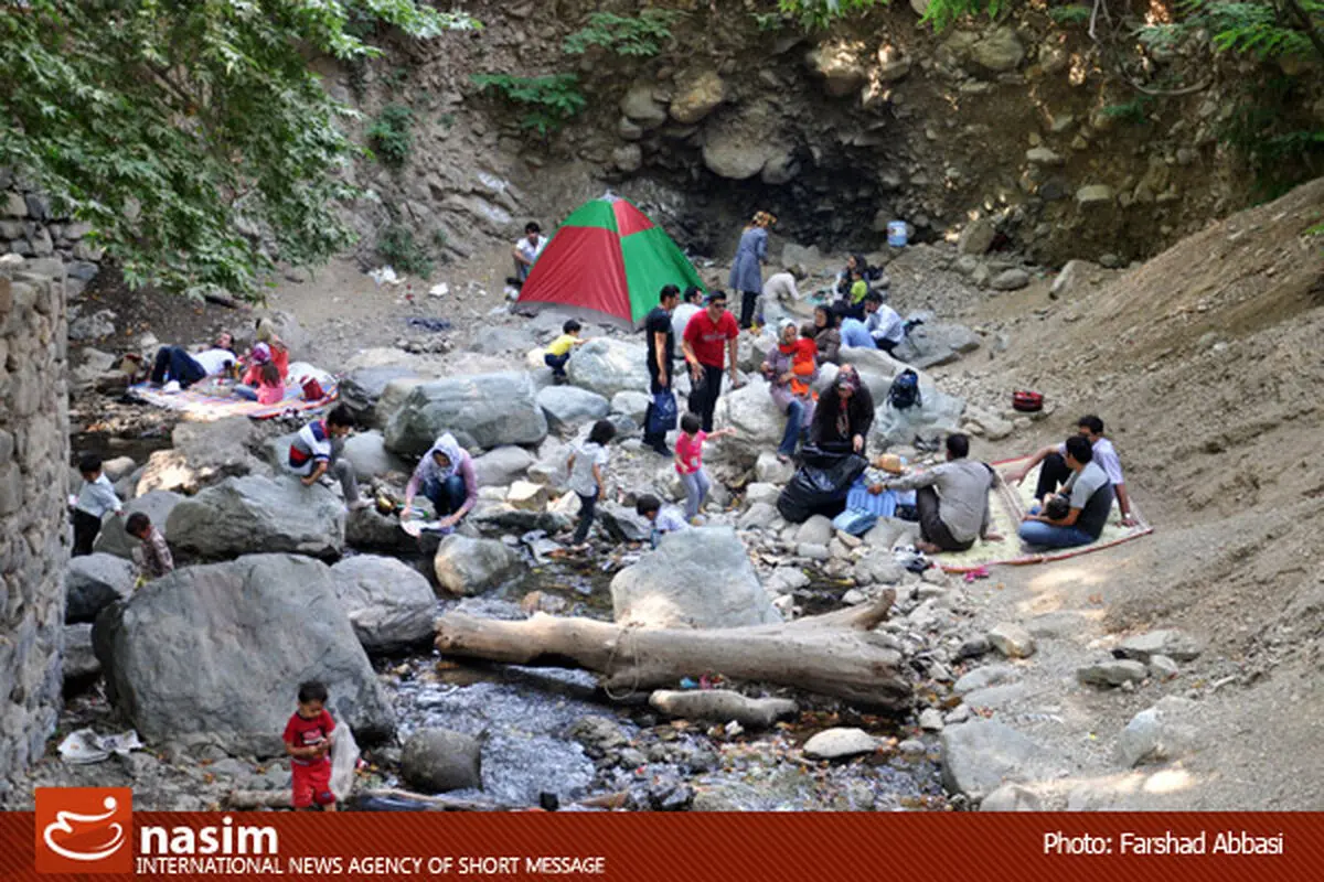 اخبار آرشیوی