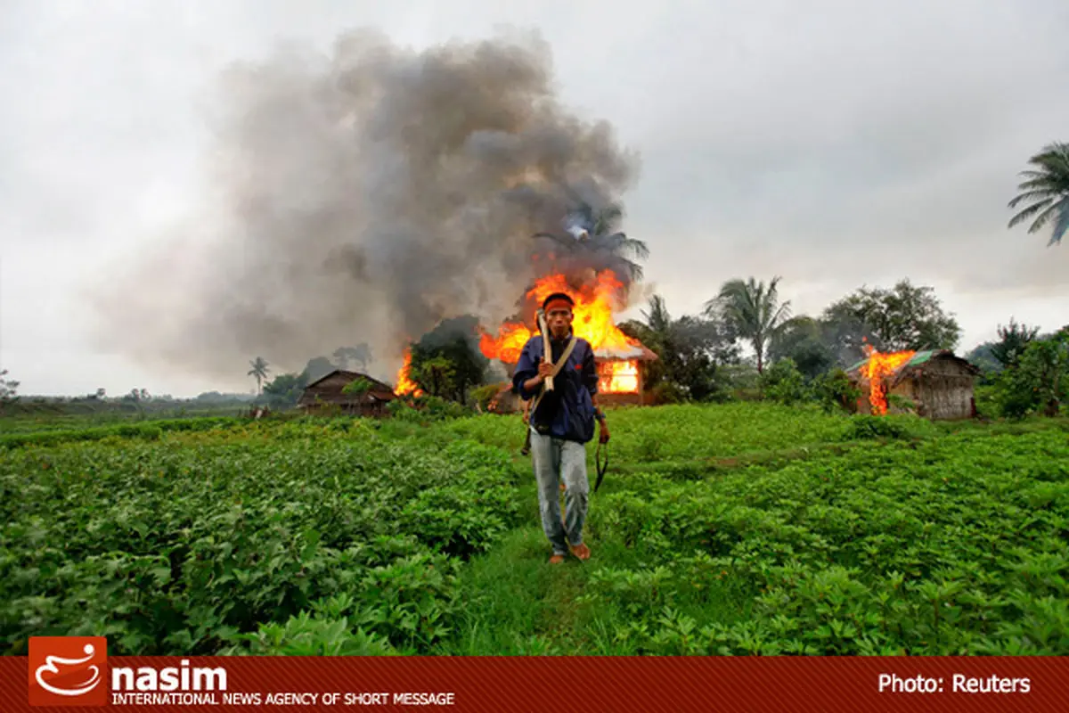 اخبار آرشیوی