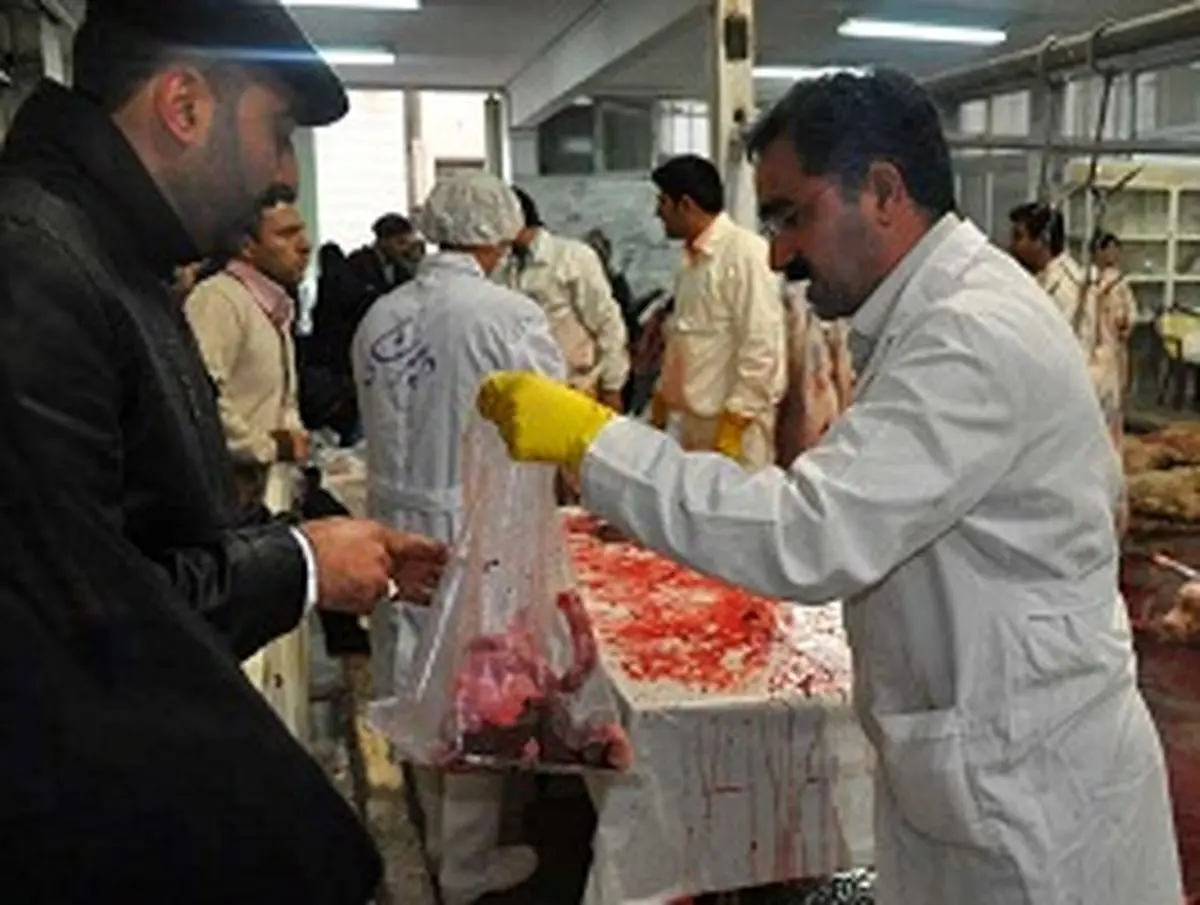 اخبار آرشیوی