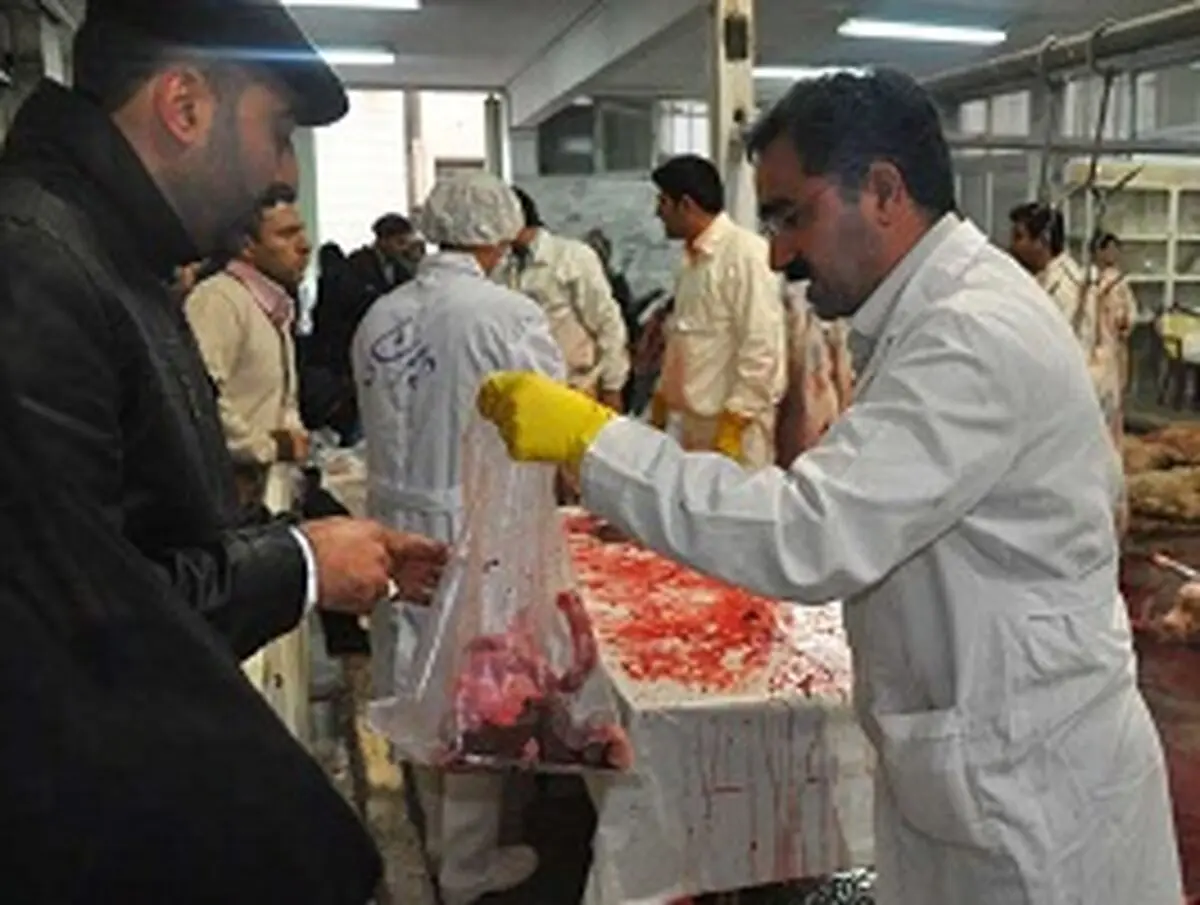 اخبار آرشیوی