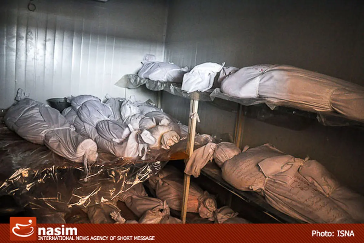 اخبار آرشیوی